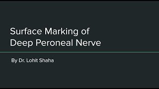 Surface Marking of Deep Peroneal Nerve [upl. by Nade]