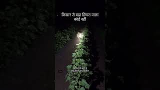 Farmers Life किसान से बड़ा हिम्मतवाला कोई नहीं farmer struggle lion lifestyle farmerslife [upl. by Keyte]