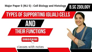 Types of Supporting Glial cells and their functions BSc Zoologyneuroglialglialcellsbsczoology [upl. by Akamaozu]