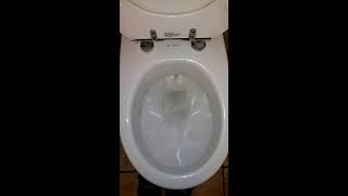 Villeroy and Boch toilet at restaurant [upl. by Amehr538]