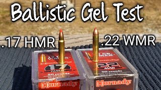 Hornady VMax 17 HMR vs 22 WMR 22 Magnum Ballistic Gel Test [upl. by Aissatsana]