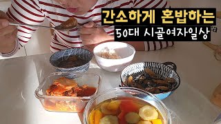 전기세 100만원 폭탄썰 소박한일상 고양이집  50대 돌싱녀  1인가구 [upl. by Nerahs]