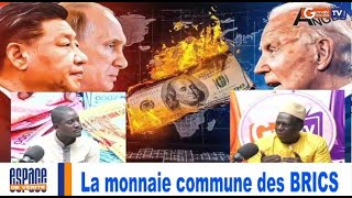 urgent La monnaie commune des BRICS [upl. by Merridie93]