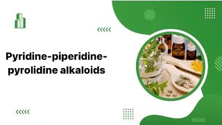 محاضرة الثانيه عقاقير pyridinepiperidinepytolidine alkaloids [upl. by Ahker53]