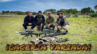 CAZA de CONEJOS TORTOLAS ZORZALES en CAÑETE SUR DE CHILE con RIFLE PCP [upl. by Canice]