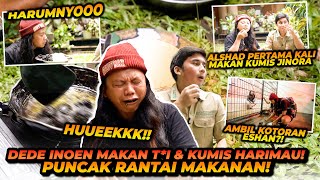 DEDE INOEN MAKAN KOTORAN DAN KUMIS HARIMAU  PUNCAK RANTAI MAKANAN TERTINGGI MEMBUKTIKAN POSISINYA [upl. by Tatman443]