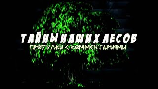 Тайны наших лесов прогулки с комментариями [upl. by Armillas]