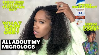 All About My MICROLOCS  With Extensions  Details On Hair How To Put The Hair In ✨ [upl. by Haisa356]