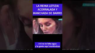 LETIZIA ACORRALADA INCREPADA Y MANCHADA DE BARRO  VALENCIA CLAMA AYUDA letizia valecia dana [upl. by Orna]