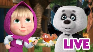 ماشا والدب 👱‍♀️ LIVE STREAM 🙅‍♀️😲 لم أكن أنا 🙅‍♀️😲 Masha and the Bear [upl. by Isman]