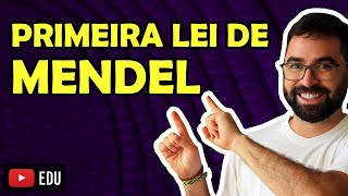 Primeira Lei de Mendel  VEJA O VÍDEO NOVO GRAVADO SOBRE ESSE ASSUNTO  LINK NA DESCRIÇÃO [upl. by Chaing17]