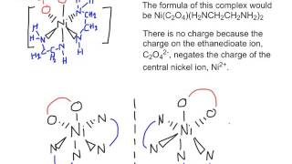 Transition Metal Complexes A2 Chemistry [upl. by Renard]