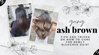 ASH BROWN BALAYAGE TRANSFORMATION  Maintaining Bleached Hair amp Fanola Product Review [upl. by Judi]