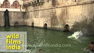 Boys swimming in the Baoli of Nizamuddin [upl. by Asial]