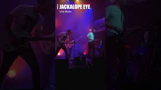 JACKALOPE EYE 初ライブ映像【Strange Disease】【Tell the Devil】YUKA FUKAYA [upl. by Bourke]