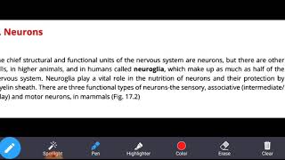 Structure and types of neurons [upl. by Enihpled]