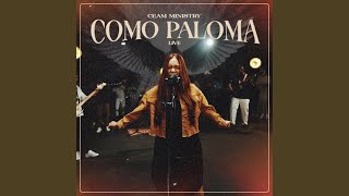 Como Paloma Live [upl. by Nylirrej]