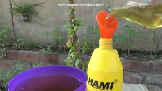 How to Make Pesticide From Neem Leaves  Pesticide for Plants  Start to End Urduhindi [upl. by Ringsmuth562]