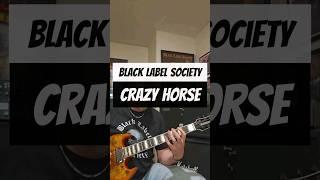 Black Label Society  Crazy Horse  Guitar Cover on a Wylde Audio Barbarian with an MXR EVH Phase 90 [upl. by Bevis]