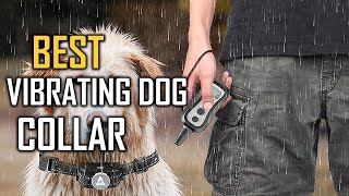 Top 5 Best Vibrating Dog Collars for JumpingTrainingSmall DogsPulling amp Recall Review 2023 [upl. by Aurthur]