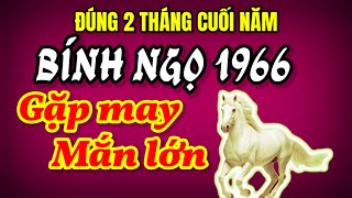 Đúng 2 tháng cuối 2024 Chuyên gia dự đoán Bính Ngọ 1966 gặp may mắn lớn cơ hội làm giàu sắp tới [upl. by Renat]