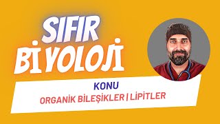 Lipitler  Yağlar Sıfır Biyoloji  Dr Biyoloji [upl. by Ogden]