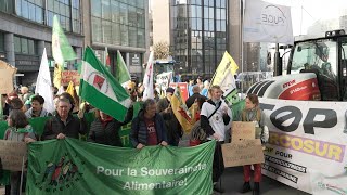 Farmers protest against EUSouth America trade pact amid new push for deal  AFP [upl. by Leachim]