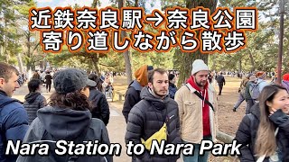 近鉄奈良駅から奈良公園まで歩く 鹿に喜ぶ外国人観光客 Nara Station to Nara Park with Deer [upl. by Keating]