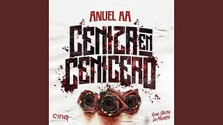 Anuel AA  Cenizas En Cenicero Audio [upl. by Enillebyam]