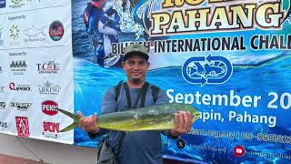 Belon baru lepas BelitungMahimahi makan di tangan Rompin Billfish International Challenge 2024 [upl. by Owades]