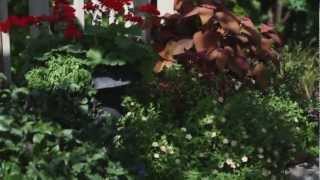 Patio Designs  Tips for Backyard Landscaping [upl. by Licec84]