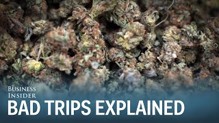 Dr Sanjay Gupta Heres Why People Get Bad Marijuana Trips [upl. by Gareri428]