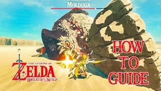 HOW TO DEFEAT MOLDUGA BOSS AND FIND THE SECRET HIDDEN THO KAYU SHRINE IN TORUMA DUNES [upl. by Falconer]