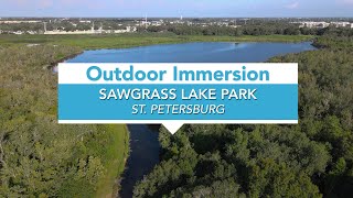 Sawgrass Lake Park St Petes Park for Spotting Wildlife [upl. by Philipps]