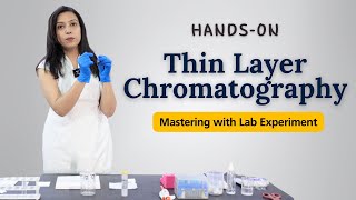 Mastering Thin Layer Chromatography Technique  TLC HandsOn Lab Experiment [upl. by Lareneg]