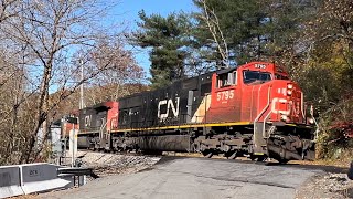 Canadian National Ethanol Train  Woodbine MD 1132024 oldmainproductions [upl. by Eelyek299]