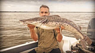 LA MERVEILLE DU FLEUVE PARANÁ  Cyril Chauquet [upl. by Eyllib]