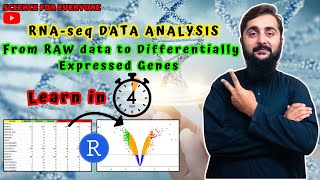 How to find DEGs from RNAseq Gene Expression Data in 4 minutes using Rstudio [upl. by Giacomo]