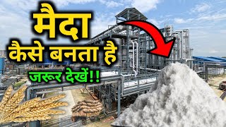 फैक्ट्री में मैदा कैसे बनता हैं  How maida is made   by VitalGyan [upl. by Kcolttam]