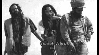 ISRAEL VIBRATION  Terrorist [upl. by Samaria881]