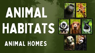 Animals and their Habitats  Habitat of Animals  Animal Habitats  Animal Homes  Science [upl. by Varipapa]