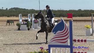 038S Lucinde Van Brakel on Good Knight CCI2 Short Show Jumping Twin Rivers Ranch Sept 2024S [upl. by Gausman]