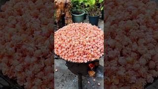 Use popcorn kernels to make watermelonflavored popcorn [upl. by Neehs]