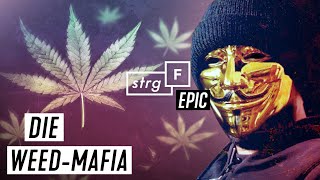 WeedMafia Wie blutig ist unser Gras  STRGF EPIC [upl. by Assilana]