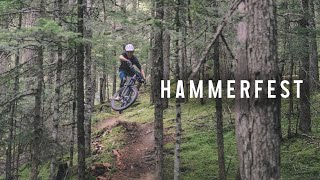 Hammerfest Trails  Vancouver Island Mountain Biking [upl. by Noned370]