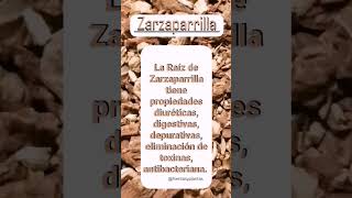 🌿 ZARZAPARRILLA [upl. by Dnama74]