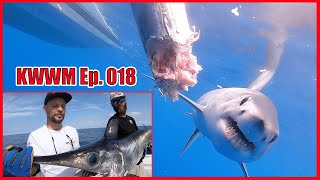 Mako Shark Attacks Swordfish  Amazing Underwater Footage  Key West Waterman Ep 019 [upl. by Elaval]