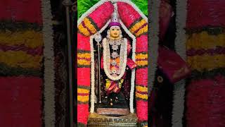 Chinna chinna murugaiah song music tamilsong trendingshorts  lord Murugan [upl. by Alrac]