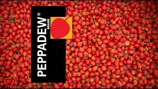 PEPPADEW® BRAND [upl. by Dimmick]