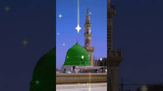 Ye Sab Hain Mere Kamli Wale Ka Sadka  Chand Qadri  Shorts  Naat  Naat short [upl. by Aseefan789]